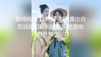 推特网黄【辞书】刺激露出自慰放尿和粉丝网友3P性爱啪啪野外露出  (1)