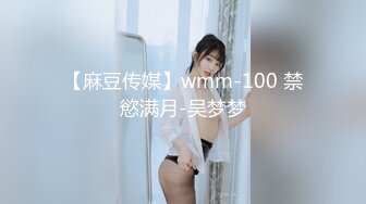 【麻豆传媒】wmm-100 禁慾满月-吴梦梦