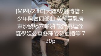 [MP4/2.8G]大陸AV劇情檔：少年阿賓四部曲 美艷巨乳房東沙發舔穴啪啪 設計挑逗淫騷學姐公寓各種姿勢抽插等 720p