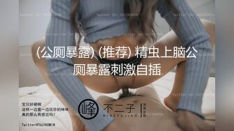 (公厕暴露) (推荐) 精虫上脑公厕暴露刺激自插