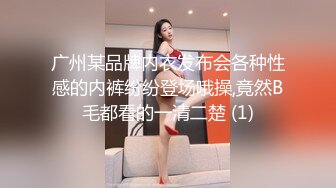 广州某品牌内衣发布会各种性感的内裤纷纷登场哦操,竟然B毛都看的一清二楚 (1)