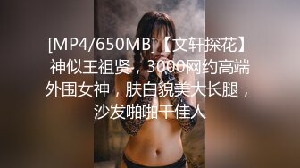 [MP4/650MB]【文轩探花】神似王祖贤，3000网约高端外围女神，肤白貌美大长腿，沙发啪啪干佳人