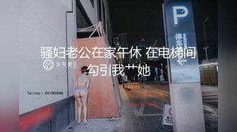 骚妇老公在家午休 在电梯间勾引我艹她