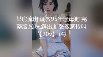 某房流出 调教95年骚母狗 完整版,拉珠,露出,扩张双洞惨叫【20v】 (4)