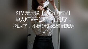 KTV 玩一晚【还没睡觉捏】单人KTV开包厢， 自慰了，撒尿了，小姐姐饥渴难耐想男人