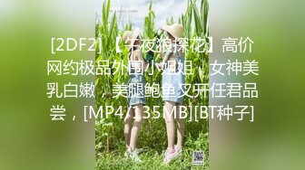 [2DF2] 【午夜狼探花】高价网约极品外围小姐姐，女神美乳白嫩，美腿鲍鱼叉开任君品尝，[MP4/135MB][BT种子]