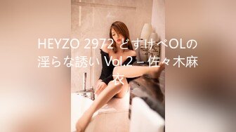 HEYZO 2972 どすけべOLの淫らな誘い Vol.2 – 佐々木麻衣