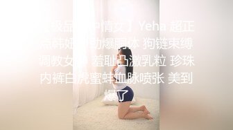 【极品梦中情女】Yeha 超正点韩妞の劲爆胴体 狗链束缚调教女神 羞耻凸激乳粒 珍珠内裤白虎蜜蚌血脉喷张 美到爆了