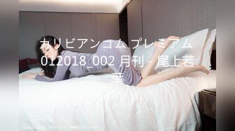 カリビアンコム プレミアム 012018_002 月刊 - 尾上若葉