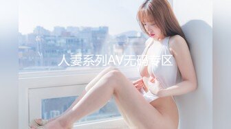 人妻系列AV无码专区