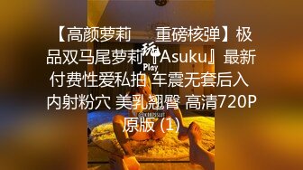 【高颜萝莉❤️重磅核弹】极品双马尾萝莉『Asuku』最新付费性爱私拍 车震无套后入 内射粉穴 美乳翘臀 高清720P原版 (1)