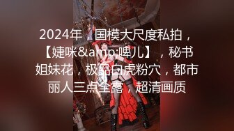 2024年，国模大尺度私拍，【婕咪&amp;啤儿】，秘书姐妹花，极品白虎粉穴，都市丽人三点全露，超清画质