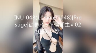 INU-048(118inu00048)[Prestige]従順ペット候補生＃029源みいな